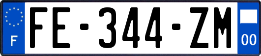 FE-344-ZM