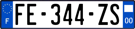 FE-344-ZS