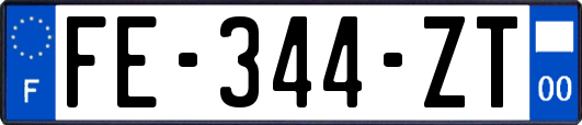 FE-344-ZT