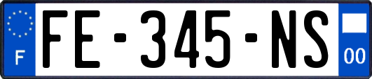 FE-345-NS