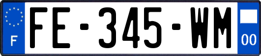 FE-345-WM