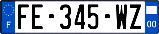 FE-345-WZ