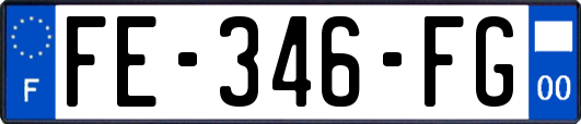 FE-346-FG