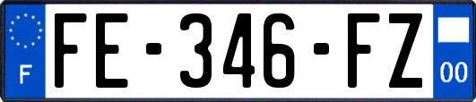 FE-346-FZ