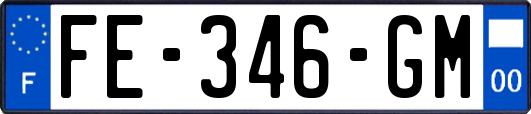 FE-346-GM