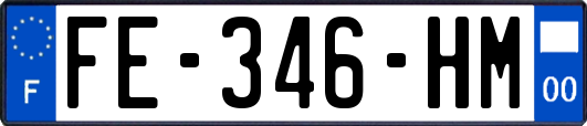 FE-346-HM