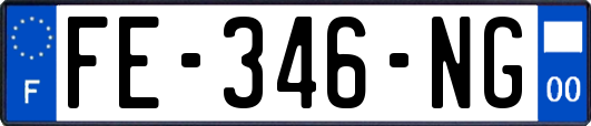 FE-346-NG