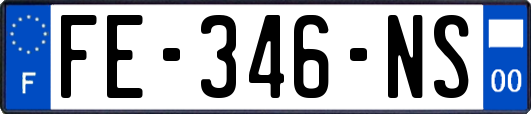 FE-346-NS