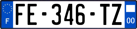 FE-346-TZ