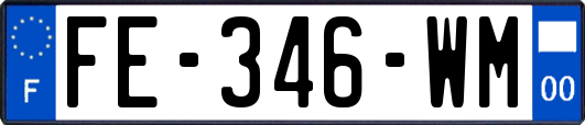 FE-346-WM