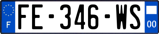 FE-346-WS