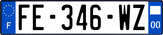 FE-346-WZ