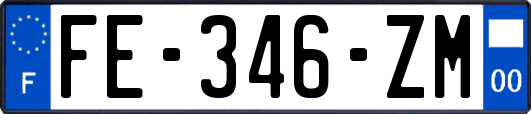 FE-346-ZM