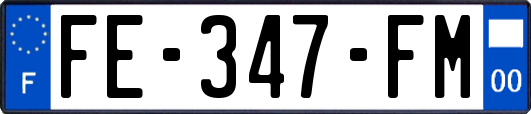 FE-347-FM