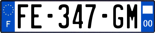 FE-347-GM