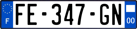 FE-347-GN