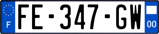 FE-347-GW