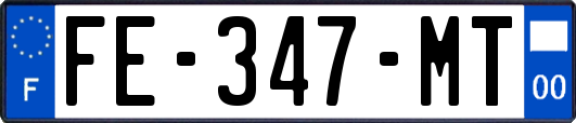 FE-347-MT