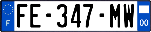 FE-347-MW