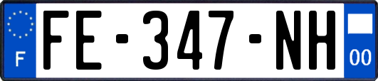 FE-347-NH