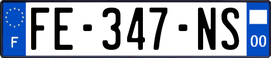 FE-347-NS