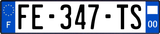 FE-347-TS