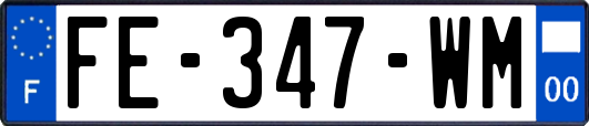 FE-347-WM