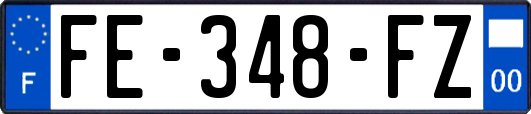 FE-348-FZ