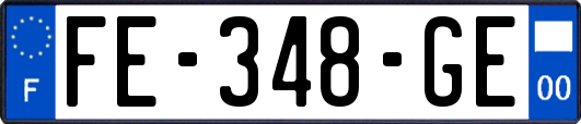 FE-348-GE