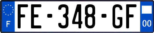 FE-348-GF