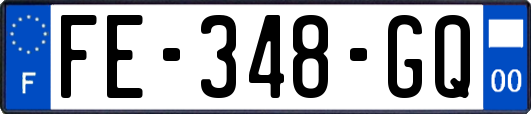 FE-348-GQ