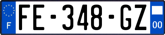 FE-348-GZ