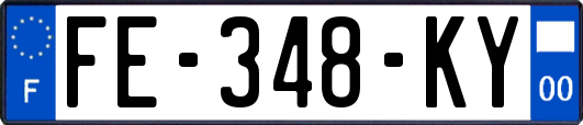 FE-348-KY