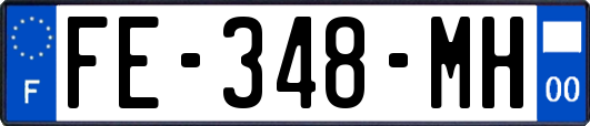 FE-348-MH