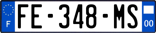 FE-348-MS