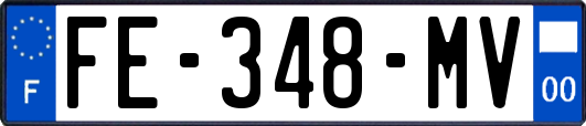 FE-348-MV