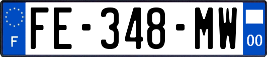 FE-348-MW