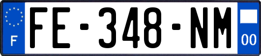 FE-348-NM