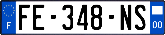 FE-348-NS