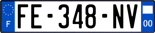 FE-348-NV