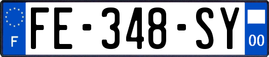 FE-348-SY