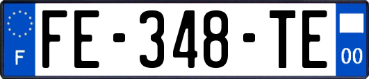 FE-348-TE
