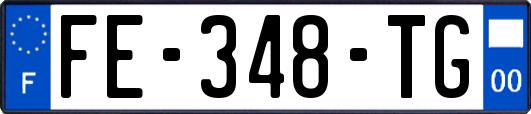FE-348-TG