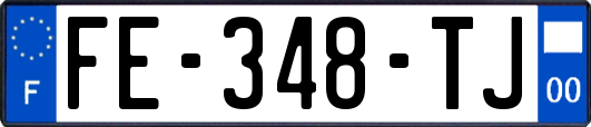 FE-348-TJ