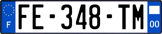 FE-348-TM