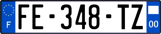 FE-348-TZ