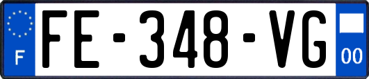 FE-348-VG