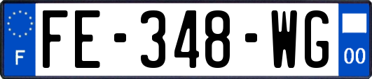 FE-348-WG