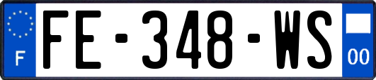 FE-348-WS