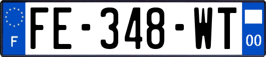 FE-348-WT